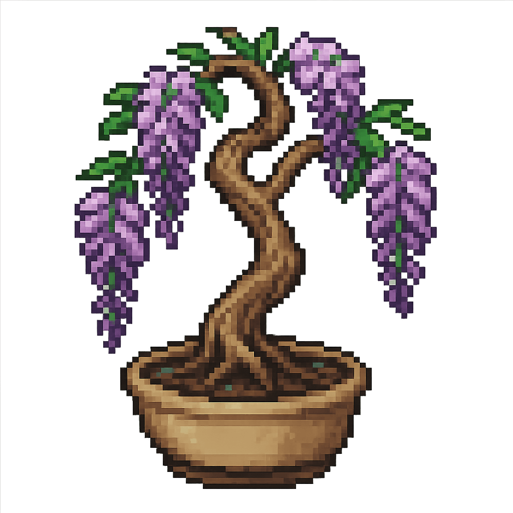Wisteria Bonsai